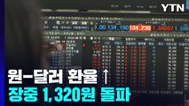 원-달러 환율, 13년 2개월 만에 장중 1,320원 돌파 / YTN