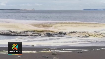 tn7-marea-roja-comerciantes-puntarenas-140722