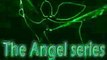 NFI Angel: 50mW Green Laser Projector. DMX / Auto Twin Beam