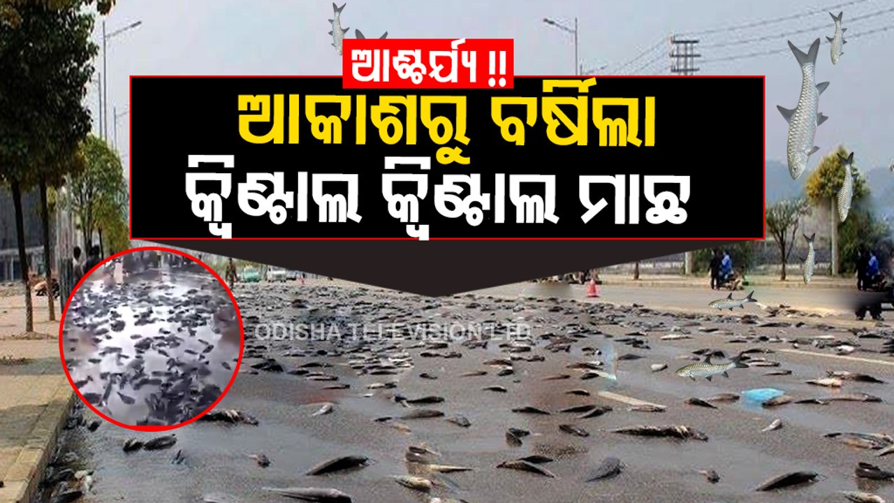 Special Story | ‘Rain of fish’ witnessed in Telangana
