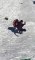 Guy Falls Off Snow Ramp While Sledding