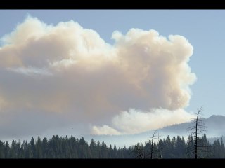 Yosemite fire moves east into Sierra National Forest