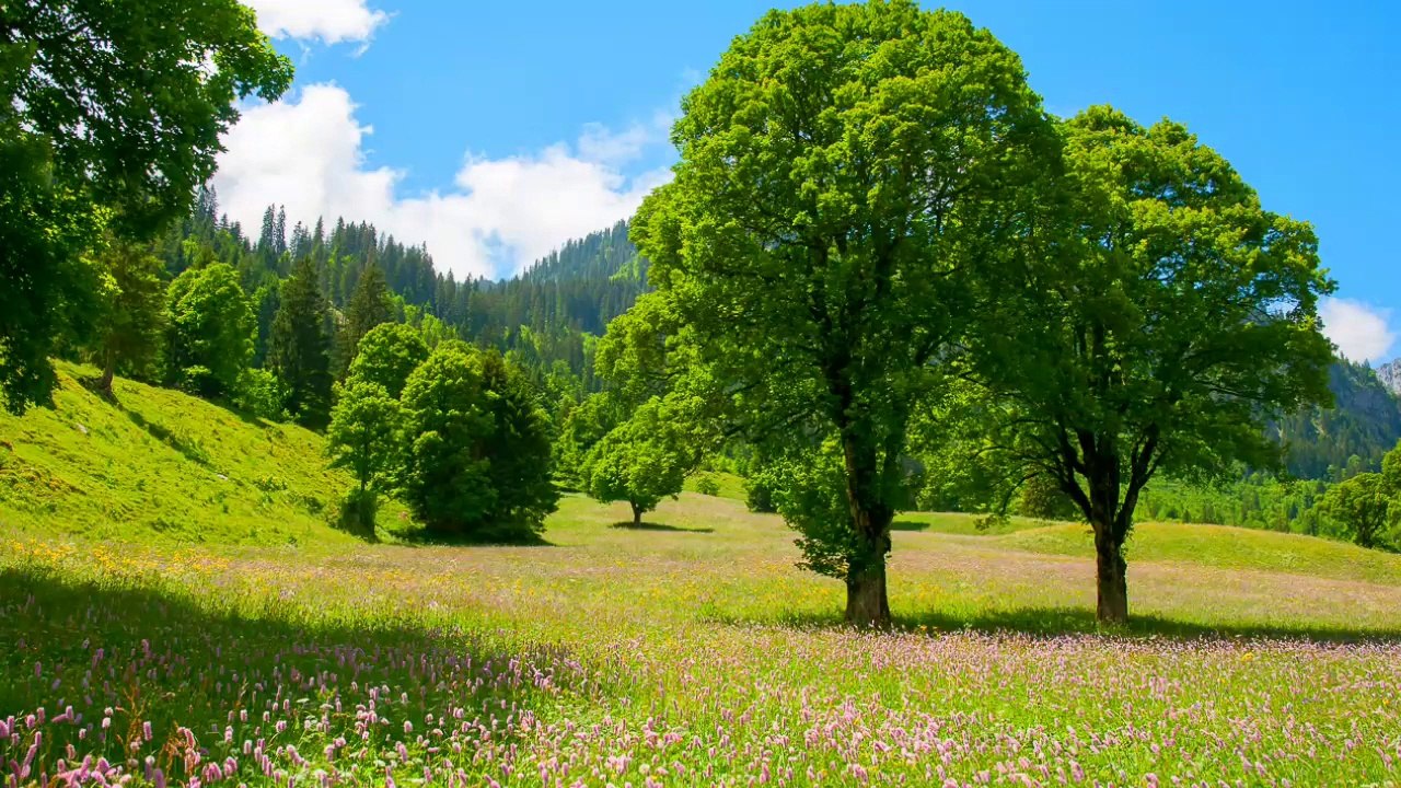 motivational background music - wide world | inspirational music | calm