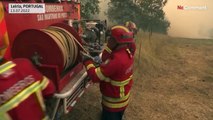 شاهد: رجال الإطفاء في وسط البرتغال يكافحون حرائق الغابات