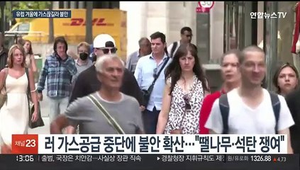 겨울에 가스 끊길라…독·프, 땔나무 쟁이고 전등 끄고