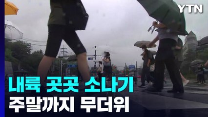 [날씨] 주말까지 무더위 속 소나기 계속...자외선·오존 주의 / YTN