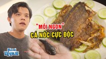 LIỀU MẠNG Làm MỒI NHẬU Bằng CÁ NÓC ĐỘC Thanh Niên TRÚNG ĐỘC Suýt Cắn Lưỡi  Tloo Gia Sư Kỳ Quái 132_1080p