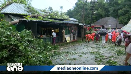 Download Video: തൊടുപുഴ കുണിഞ്ഞിയിൽ ശക്തമായ കാറ്റിൽ വ്യാപക നാശനഷ്ടം; മരം വീണ് വീടുകൾ തകർന്നു