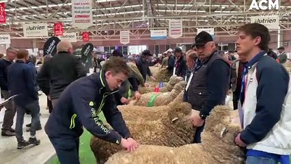 Download Video: AUSTRALIAN SHEEP AND WOOL SHOW DAY 1 JUDGING | JULY 15, 2022 | BENDIGO ADVERTISER