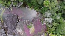 El río de los siete colores despierta el turismo en Colombia