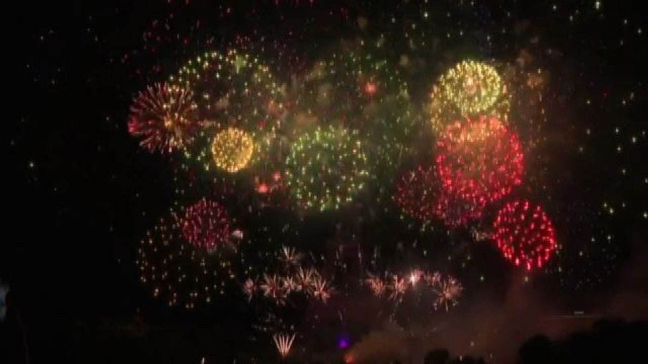 I fuochi d'artificio hanno illuminato il cielo di Parigi