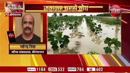 VIDEO : झमाझम मानसूनी बरसात से 'मरुधरा' पानी-पानी, मिलिट्री बुलाने की आई नौबत