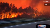Waldbrände: besonders betroffen sind Südfrankreich und Portugal