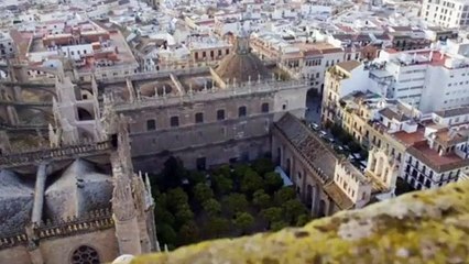 Promo Virgen de los Reyes; Puertas Abiertas