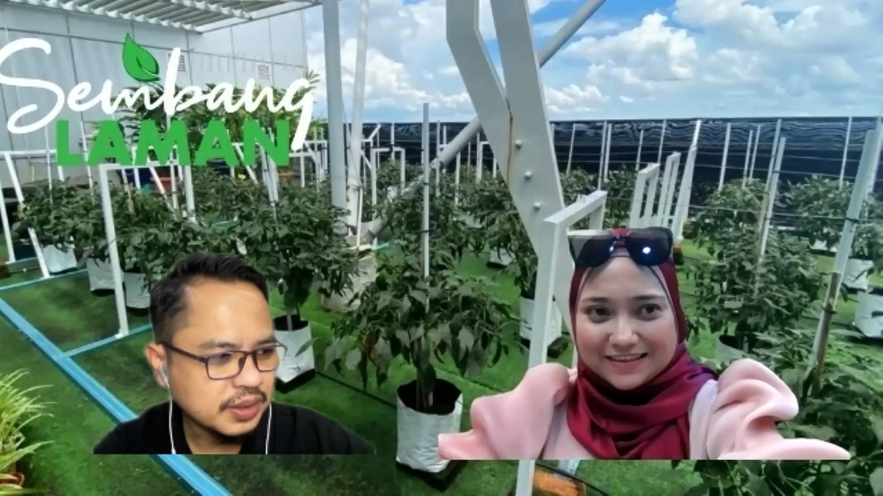 Berlaman Di Rooftop Garden