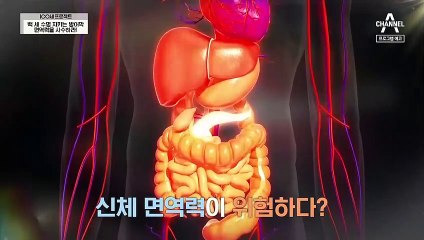 [예고] 체력이 떨어지기 쉬운 여름철! 신체 면역력이 위험하다?!