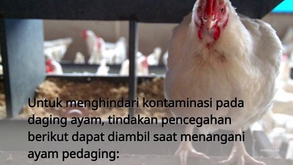 Cara Mengolah ayam sayur agar aman dan agar tidak terkontaminasi bakteri