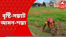 South Bengal Rain Crisis: বর্ষাকালেও আকাশে শরতের নীল-সাদা মেঘ! নির্জলা জমিতে আমন রোপণের কাজ না হওয়ায় মাথায় হাত জেলার কৃষকদের। Bengal News