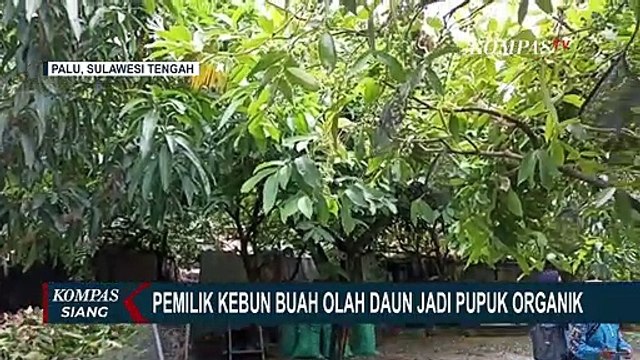 Tekan Ongkos Produksi, Pemilik Kebun Buah Olah Daun Jadi Pupuk Organik