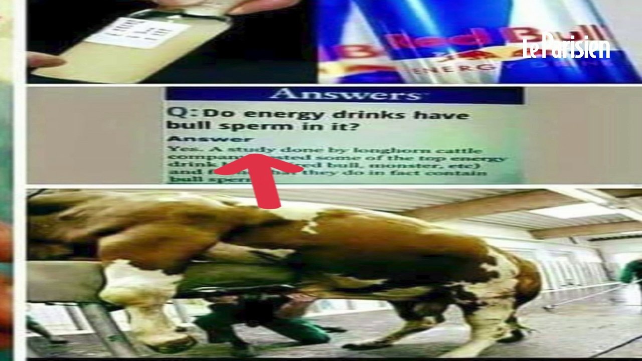 Ce qui se cache  derrière la «taurine», l’ingrédient mystérieux du Red Bull