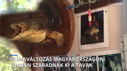 Hőség és szárazság Magyarországon: eddig két tó tűnt el a Föld színéről