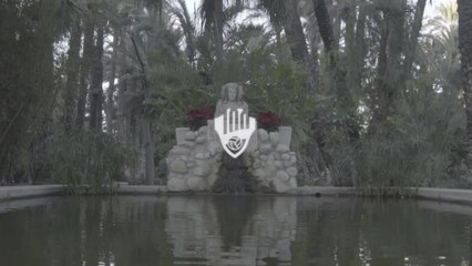 PBZA Elche - Local Basketball Team 🏀