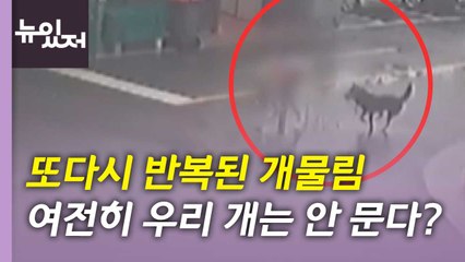 [뉴있저] 8살 아이 개 물림 사고...다시 도마에 오른 대형견 관리 / YTN