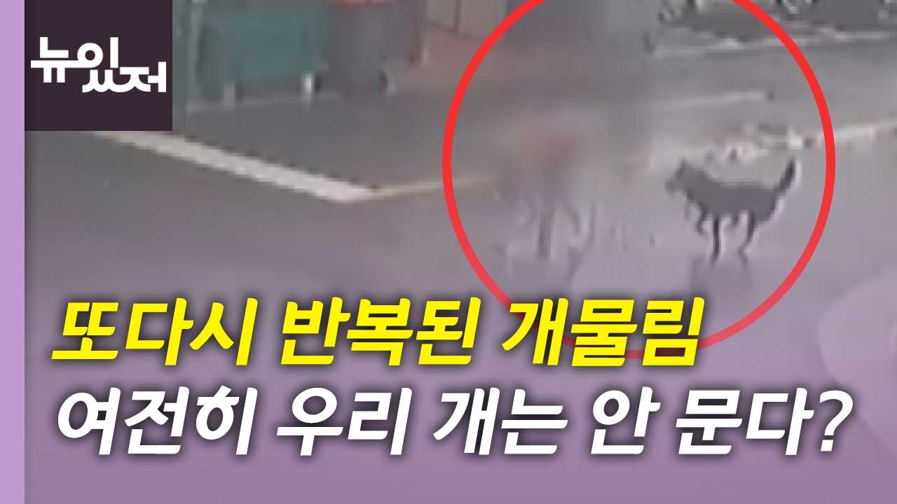 [뉴있저] 8살 아이 개 물림 사고...다시 도마에 오른 대형견 관리 / YTN