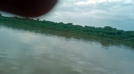 Kunda's water became poison fish died