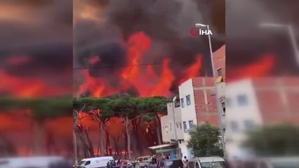 Fas'ta orman yangınları: Bin hektardan fazla alan kül oldu