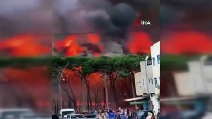 Fas'ta orman yangınları: Bin hektardan fazla alan kül oldu