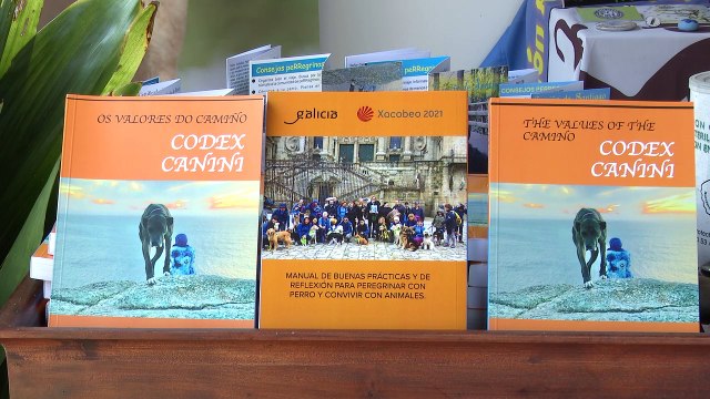 Las rutas jacobeas a cuatro patas: unos 5.000 'perregrinos' hacen el Camino de Santiago cada año