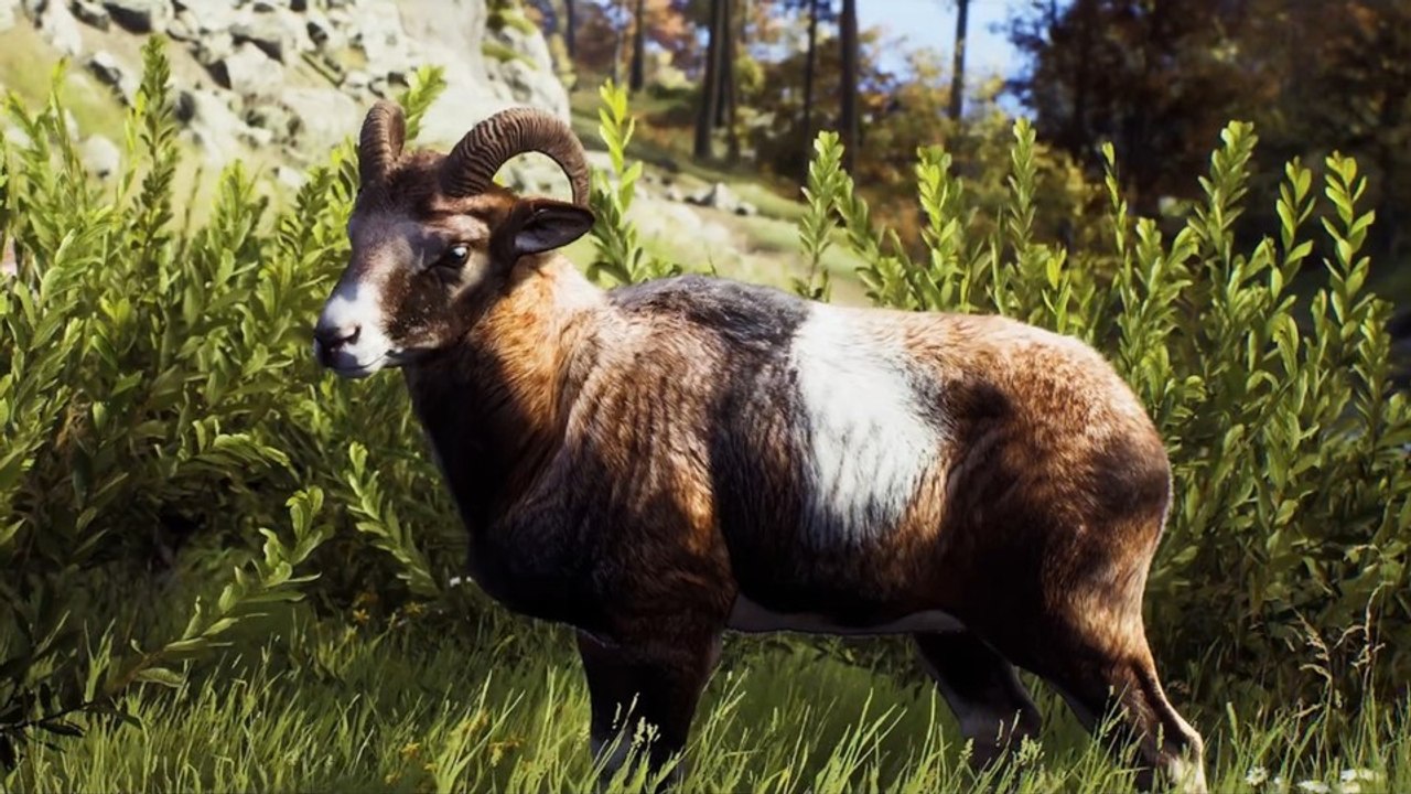 Way of the Hunter zeigt, welche Tiere die riesige, realistische Open World bewohnen