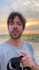 Paulo Vintém e Marta Melro