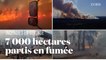 En Gironde, plus de 7 000 hectares ont été détruits par les flammes