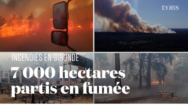 En Gironde, plus de 7 000 hectares ont été détruits par les flammes