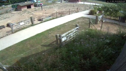 East Sussex Farm video