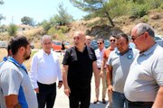 CHP Grup Başkanvekili Özkoç, Datça'da yanan alanları inceledi