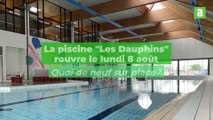 Piscine Les Dauphins : visite du chantier