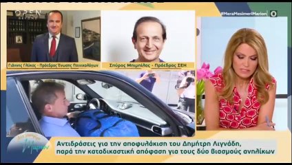 Μιχελιδάκη: Έβαλε δημόσια τα πράγματα στην θέση τους για τον Λιγνάδη - «Ποτέ δεν αποκαλέσαμε...»