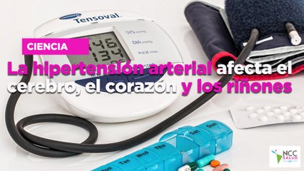 La hipertensión arterial afecta el cerebro, el corazón y los riñones