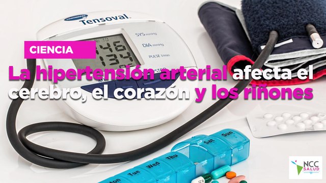La hipertensión arterial afecta el cerebro, el corazón y los riñones