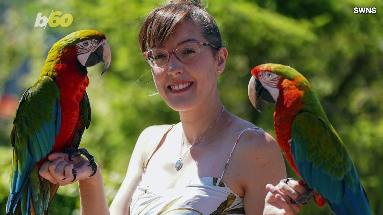 This Domesticated Parrot Flies Free Over Nation...