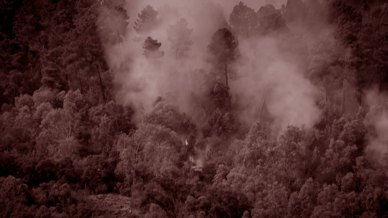 El Plan de Lucha contra Incendios Forestales de Extremadura ha elevado al nivel 2 de peligrosidad el incendio de Casas de Miravete por ser próximo a Monfragüe