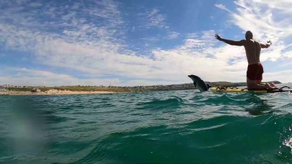 The moment a dolphin leaps out of the water in front of a delighted lifeguard