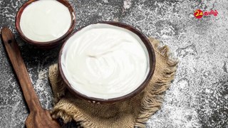 Difference Between Yogurt and Curd   Health Benefits of Yogurt - 24 Tamil Health