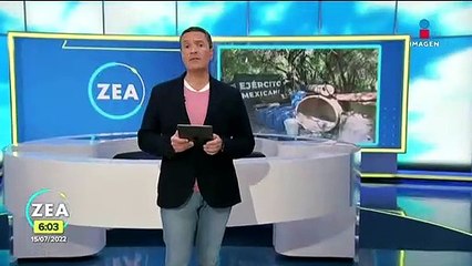 Golpe al narco: Sedena desmantela 101 laboratorios pertenecientes al crimen organizado