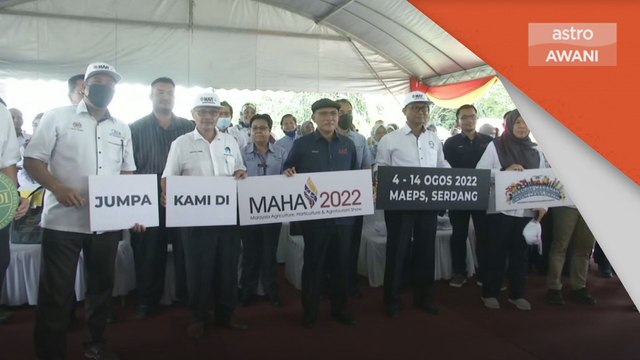 Beras | Varieti padi baharu Maria tingkat hasil pengeluaran