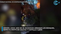 España arde más de 30 incendios arrasan los bosques, especialmente en Galicia y Castilla y León