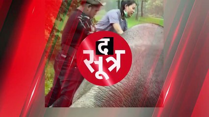 THAILAND: गड्ढे में फंसा हथिनी का बच्चा, पास ही खड़ी थी मां; देखें किस तरह किया गया रेस्क्यू